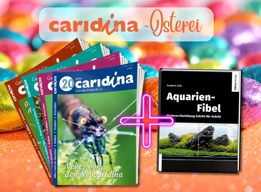 Das caridina-Osterei