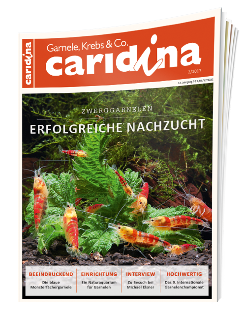 caridina Ausgabe 2/2017