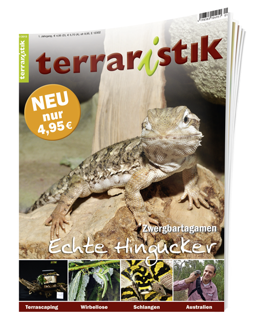 terraristik Ausgabe 1/2013