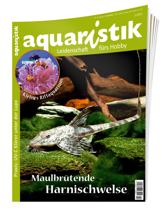 2021/2 aquaristik