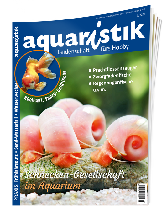 aquaristik 3/2021