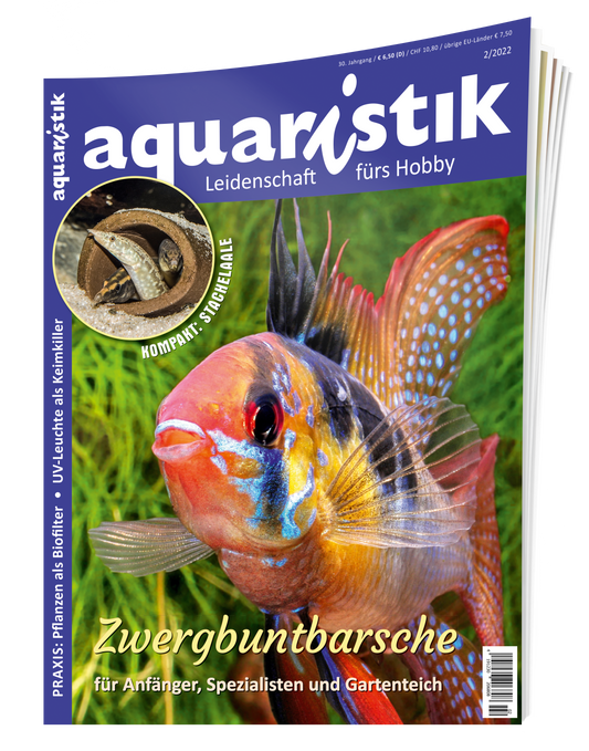2022/2 aquaristik