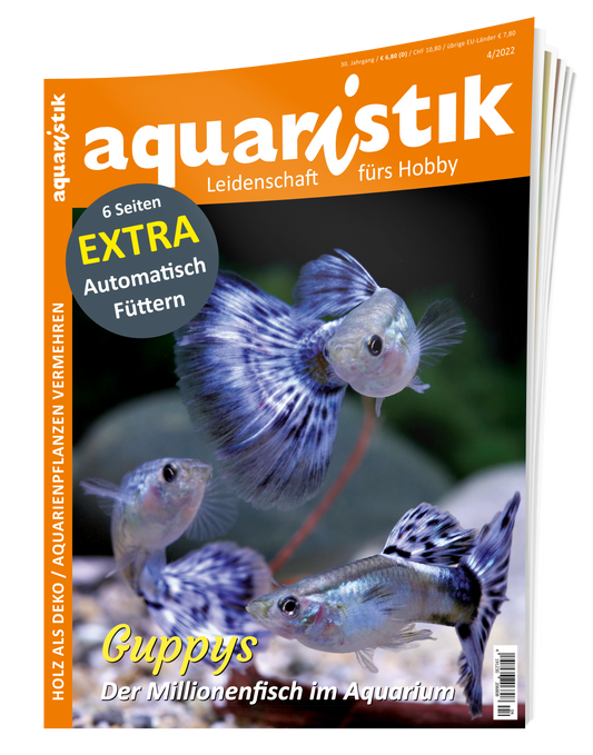 2022/4 aquaristik