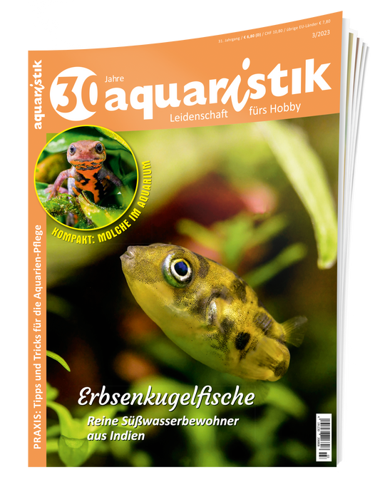 2023/3 aquaristik