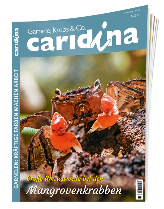 2021/2 caridina