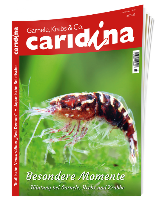 caridina 2/2022