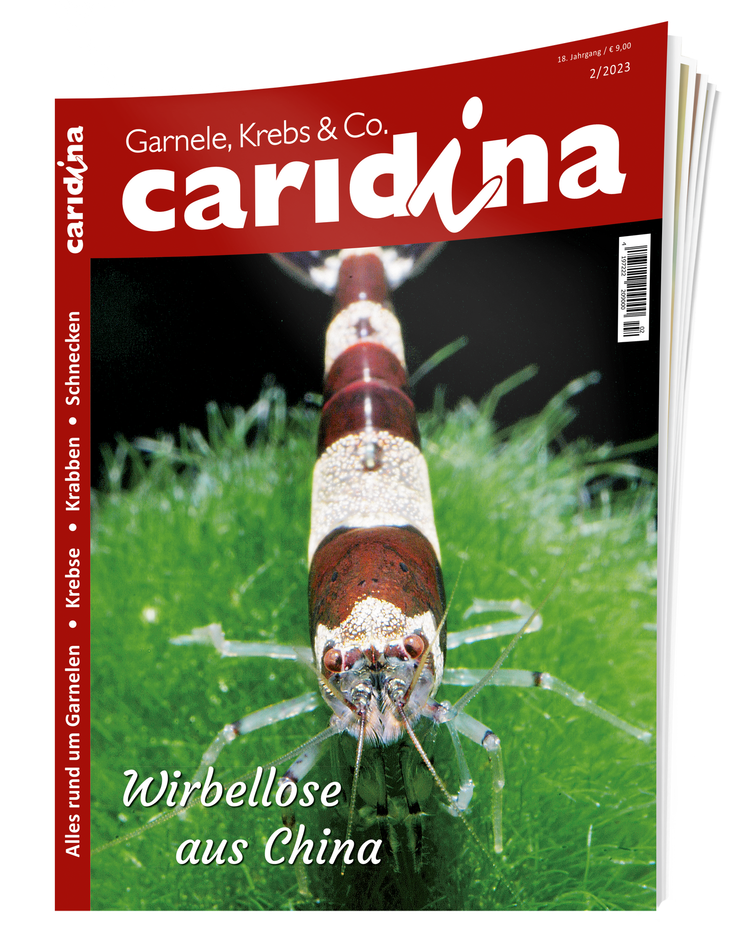 caridina 2/2023