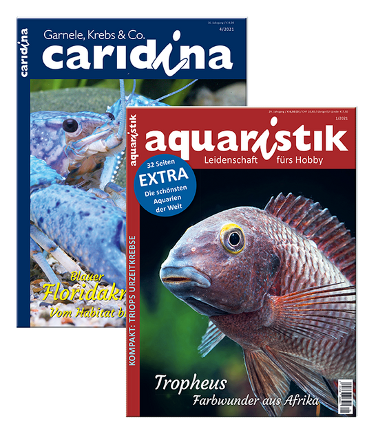 Kombi-Abo aquaristik & caridina