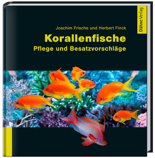 Korallenfische