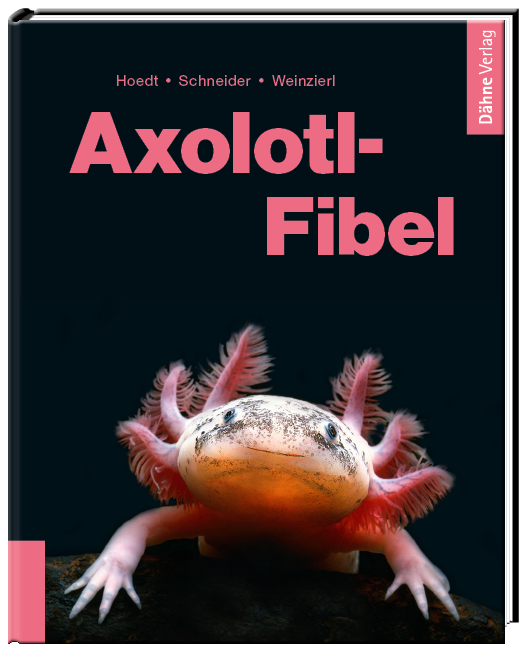 Axolotl-Fibel