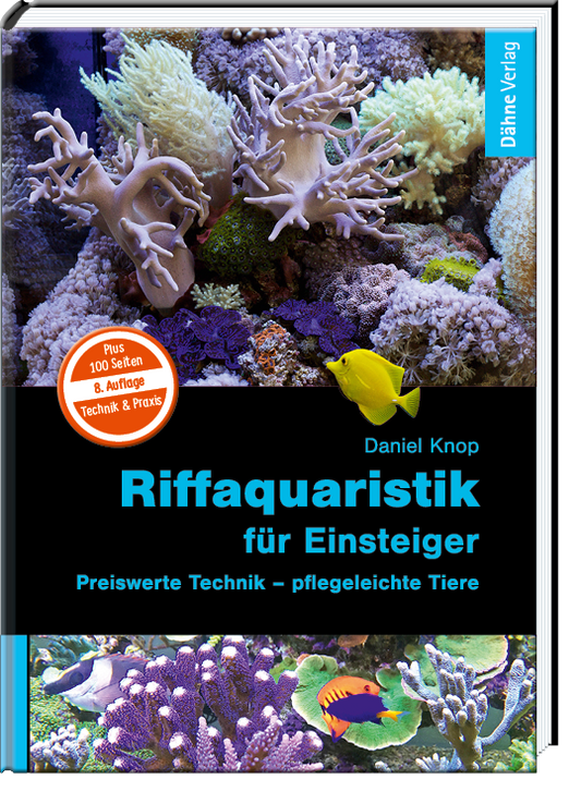 Riffaquaristik für Einsteiger