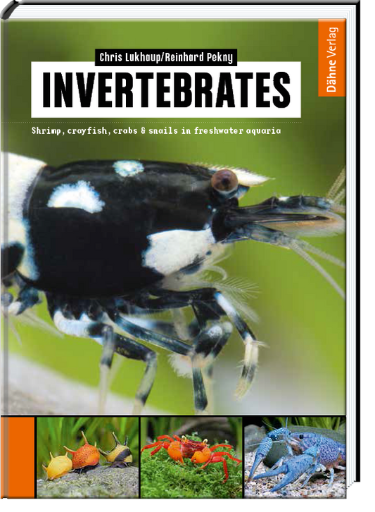 Invertebrates
