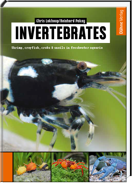 Invertebrates defective copy (signed)