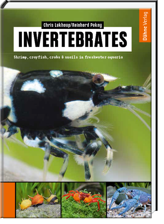 Invertebrates defective copy (signed)