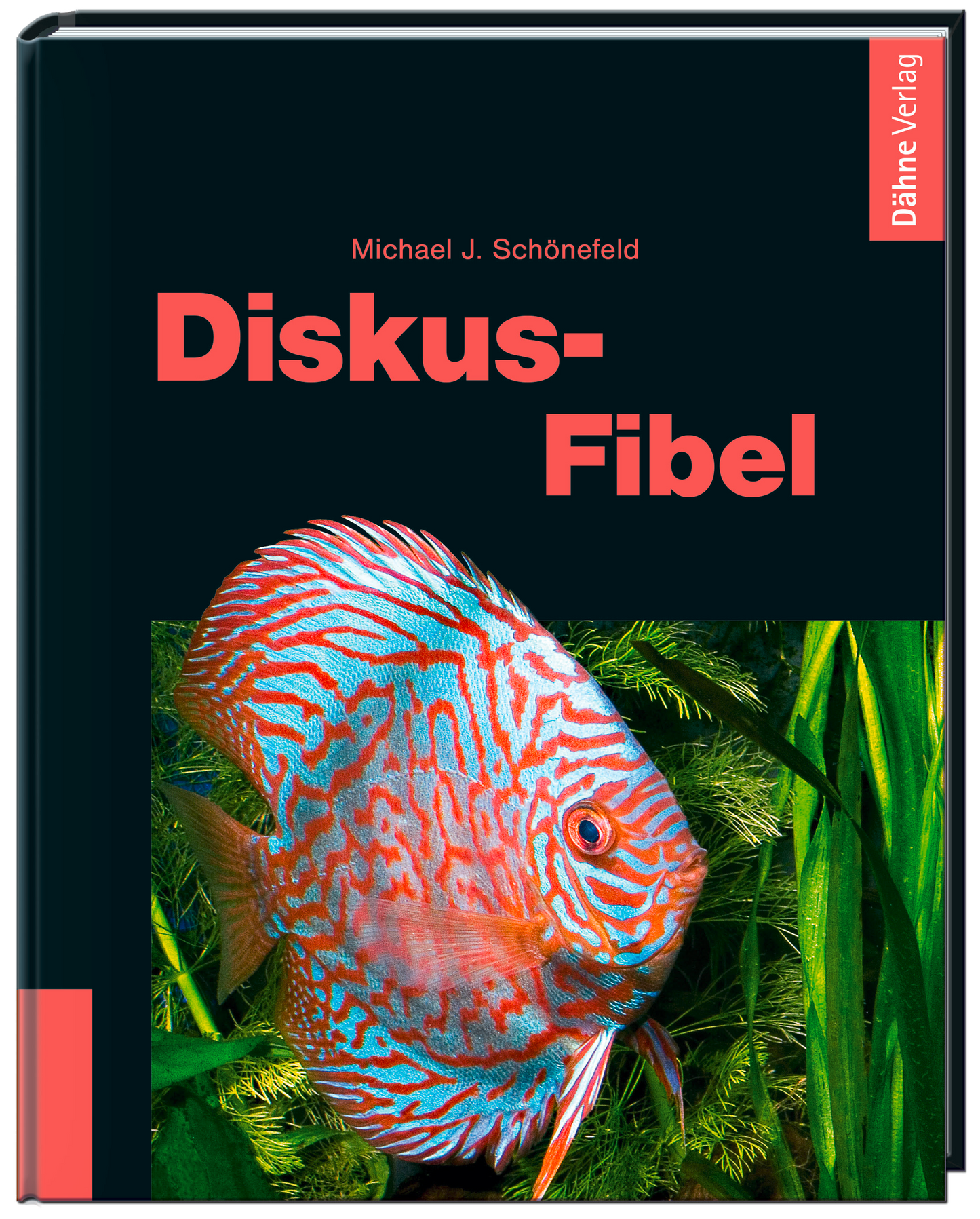 Diskus-Fibel